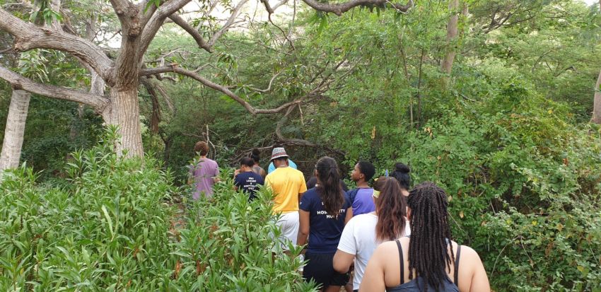 WhatsApp Image 2019-01-25 at 8.21.51 AM